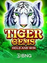 tiger-gems-hold-and-win