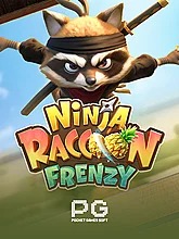 ninja-raccoon-frenzy